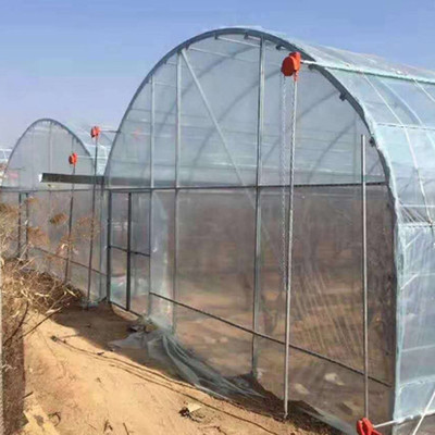 温室大棚管在榆林蘑菇种植中的关键作用与典型应用