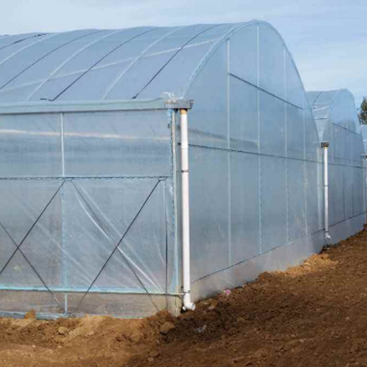 现代农业大棚管材选择指南 从水稻育秧到温室种植的全方位解析