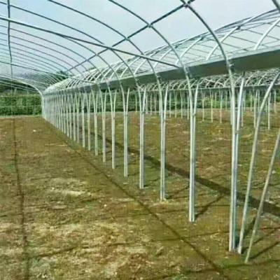 毕节镀锌大棚管直销价格新报 行情稳定，或迎短暂采购窗口期