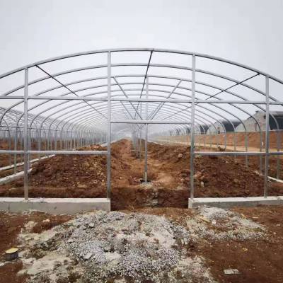 石嘴山包塑单体大棚管 温室大棚骨架建造与温室大棚管的定制实践
