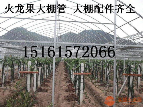 宁波大棚管与火龙果温室大棚管的专业知识指南