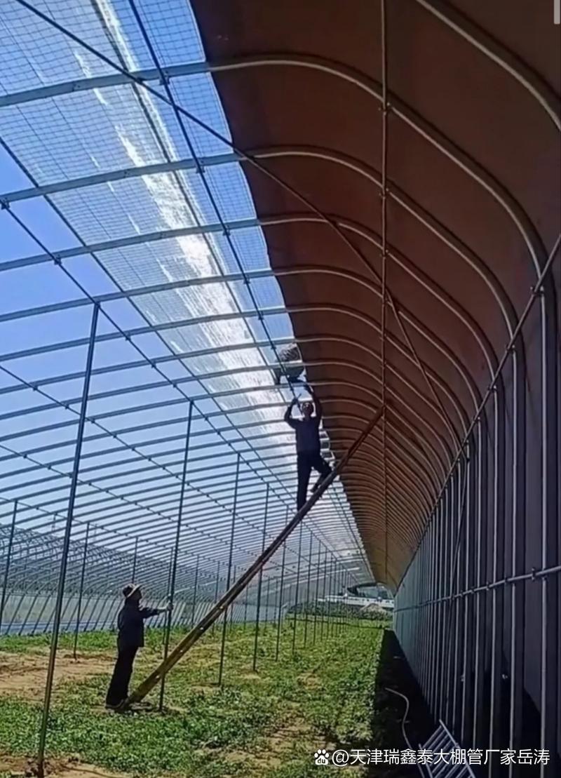 温室大棚与养殖大棚 有缘管骨架、椭圆管骨架及热温室大棚管全解析